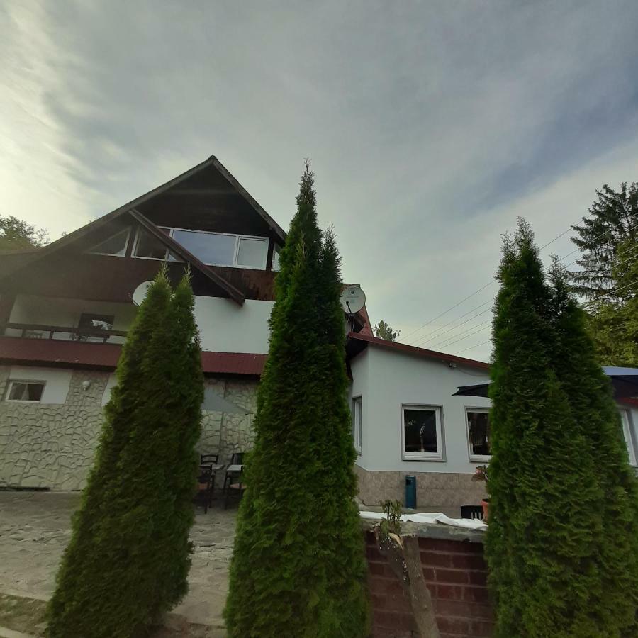 Popas Balea Rau Hotel Cîrţişoara Eksteriør billede